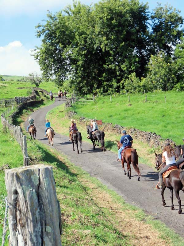 St. Jude Trail Ride brings in 15K for children’s hospital News